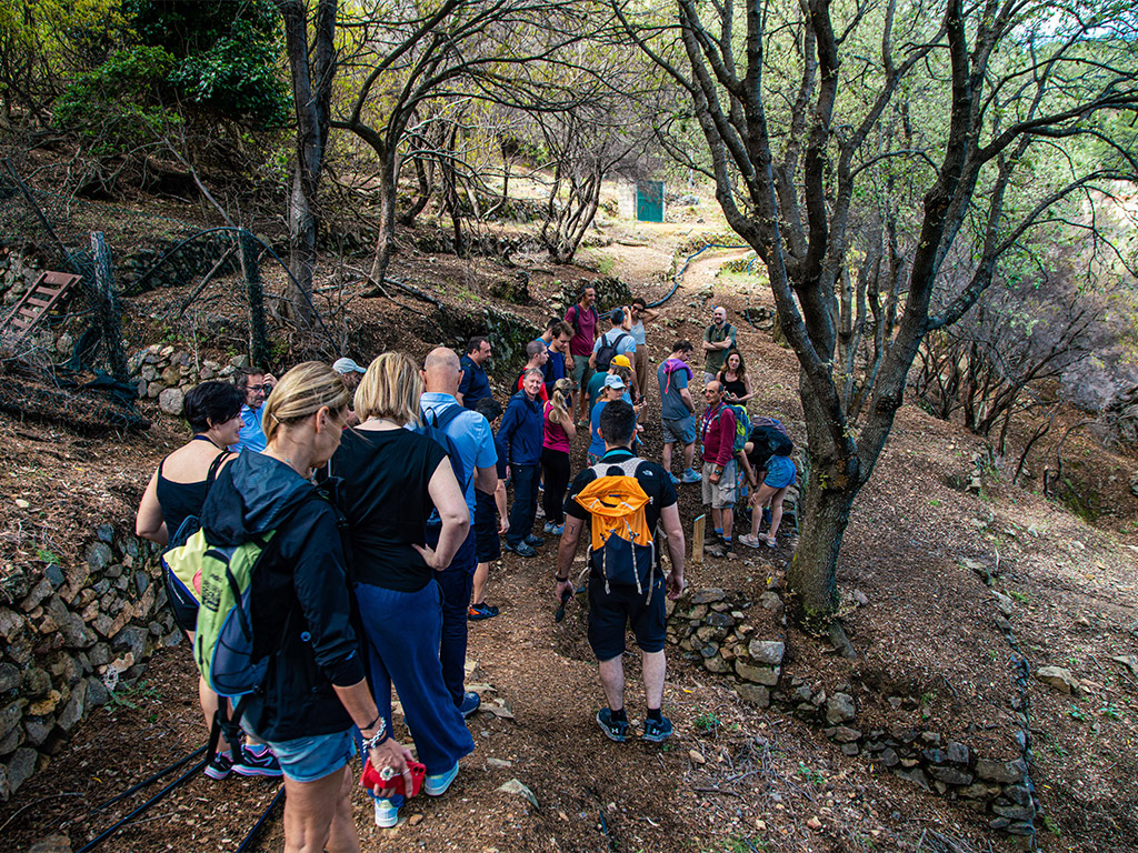 1 JULY | ECONOMIC TRANSITION