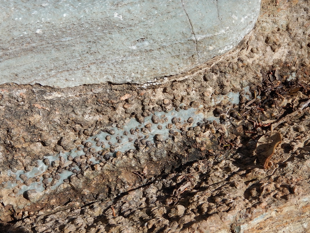 POINT OF INTEREST 3C | THERMAL METAMORPHIC RING