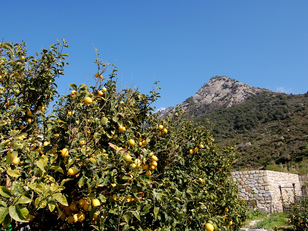 POINT OF INTEREST 4A | POMONTE