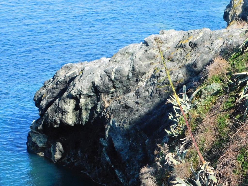 POINT OF INTEREST 4C | SERPENTINITE