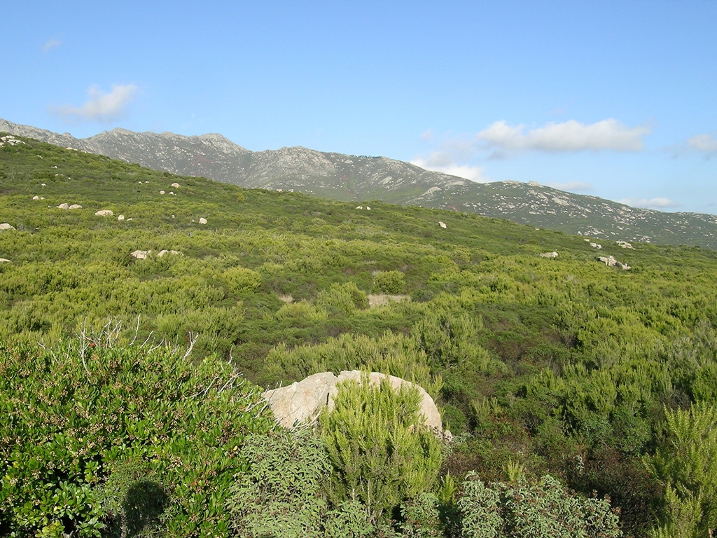 PUNTO DI INTERESSE 4 D | PIANA DELLA SUGHERA