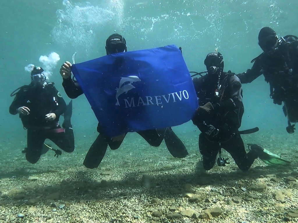 Project Mare Pulito