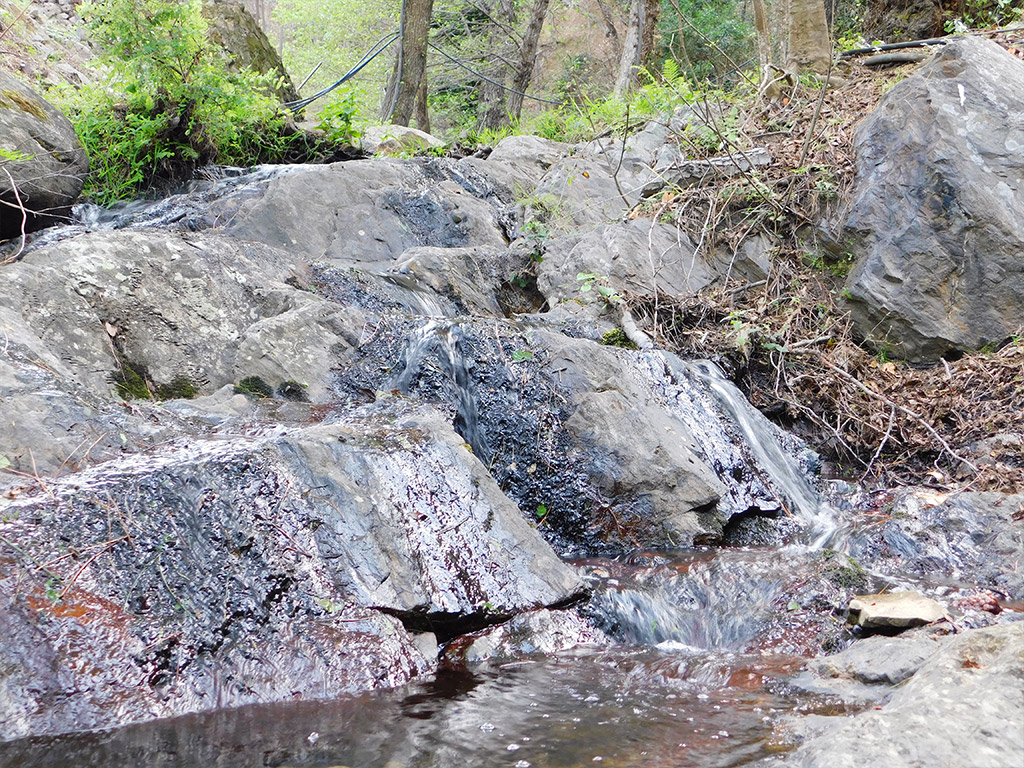 PUNTO DI INTERESSE 1 C | FOSSO DEI PIZZENNI